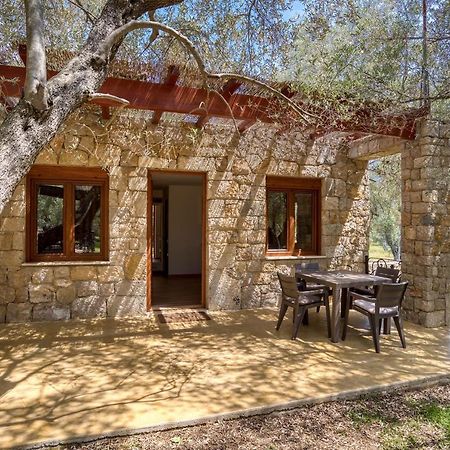 Stonehouse In Olives Apartman Ulcinj Kültér fotó