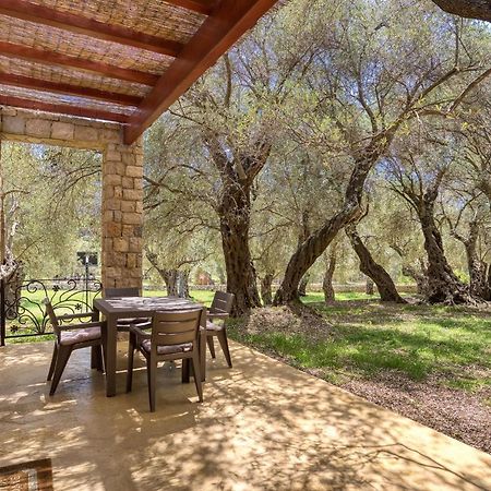 Stonehouse In Olives Apartman Ulcinj Kültér fotó